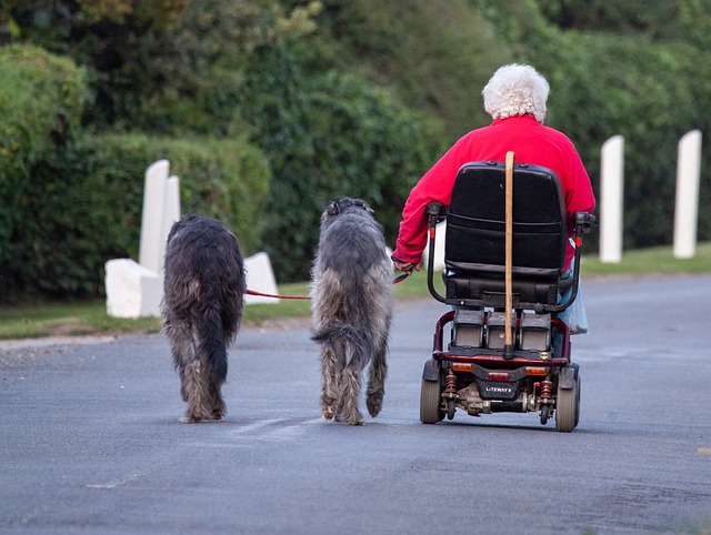 Scootmobiel verzekeren